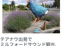 NZブリーズテアナウぺージ