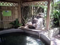 コージー・コテージ・サーマル・ホリデー・パーク