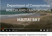 マイタイ・ベイ・DOCキャンプサイト