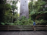 タネ・マフタカウリ