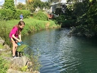 ワイテティ・トラウト・ストリーム・ホリデー・パーク